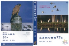広島県北の野鳥８０種・７７種